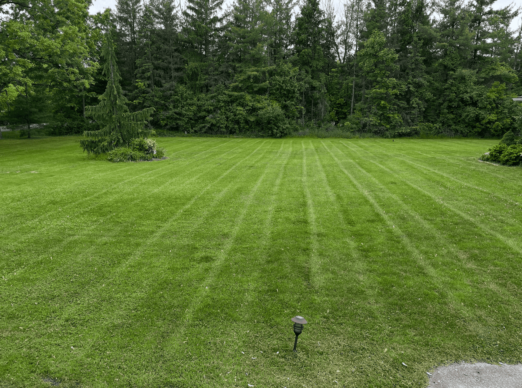 Screenshot 2025-06-14 at 10.29.51 PM